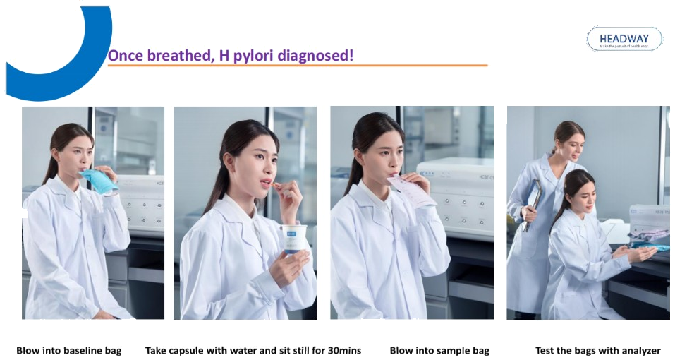 Test Procedure